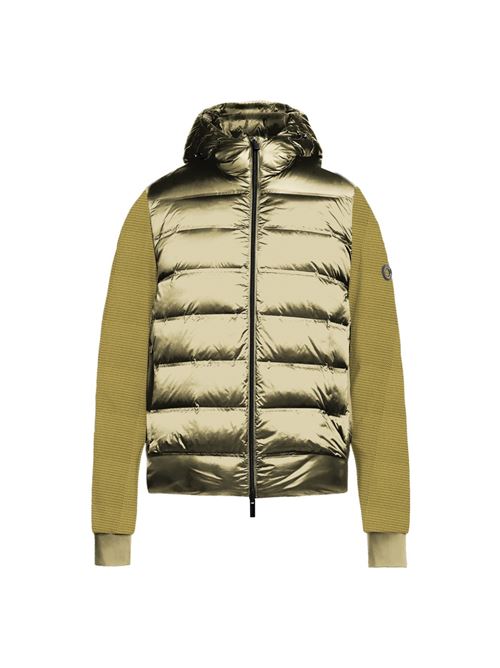  MARKUP | MK794039/GIALLO