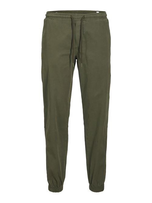 Olive Night