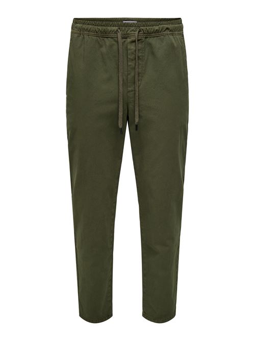 Olive Night