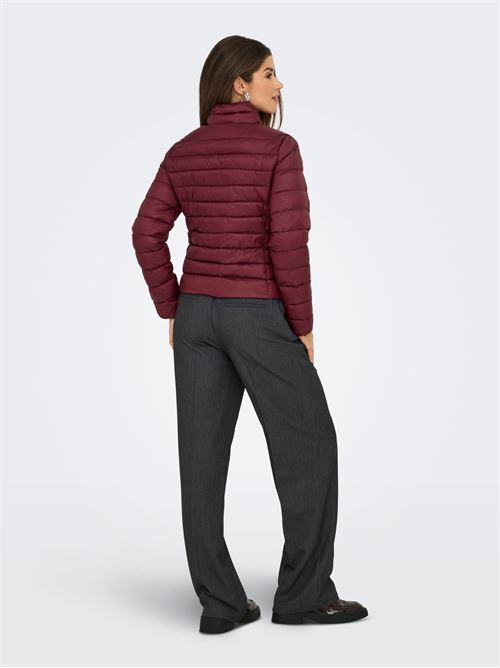  ONLY | 15351967/Cabernet