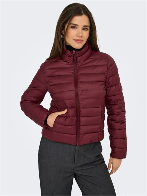  ONLY | 15351967/Cabernet