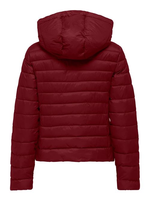  ONLY | 15352020/Cabernet