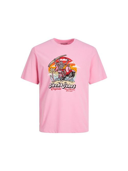 12234309/Prism Pink