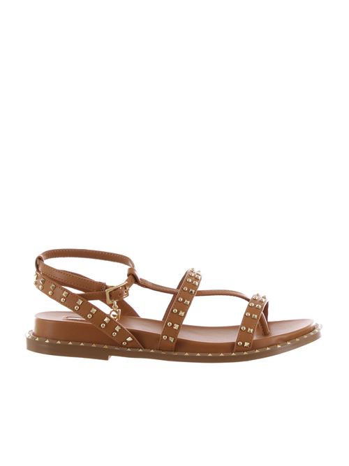 TAN