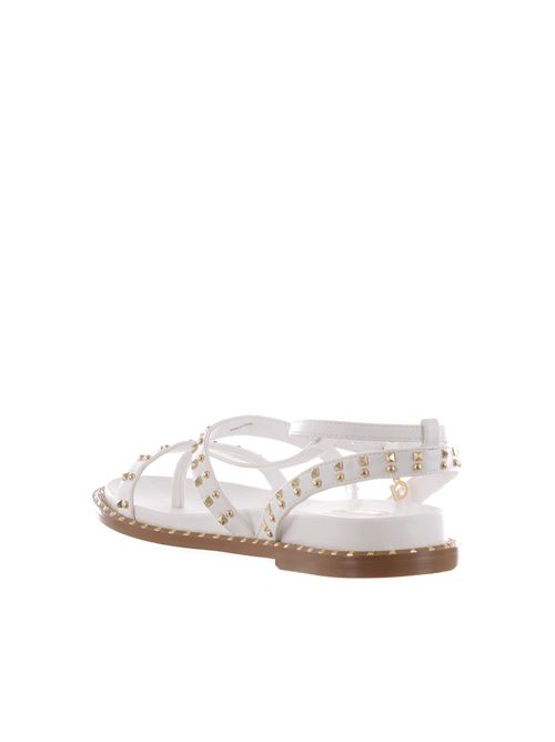 SANDALO FLAT PYRUS GREEDY GAUDI | V53-64530/V0041