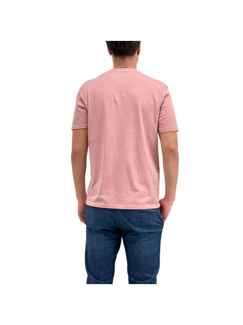  MARKUP | MK11011/ROSA