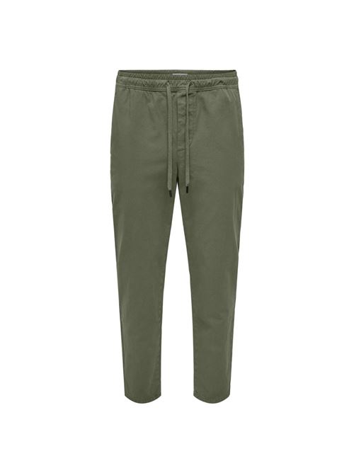 Deep Lichen Green