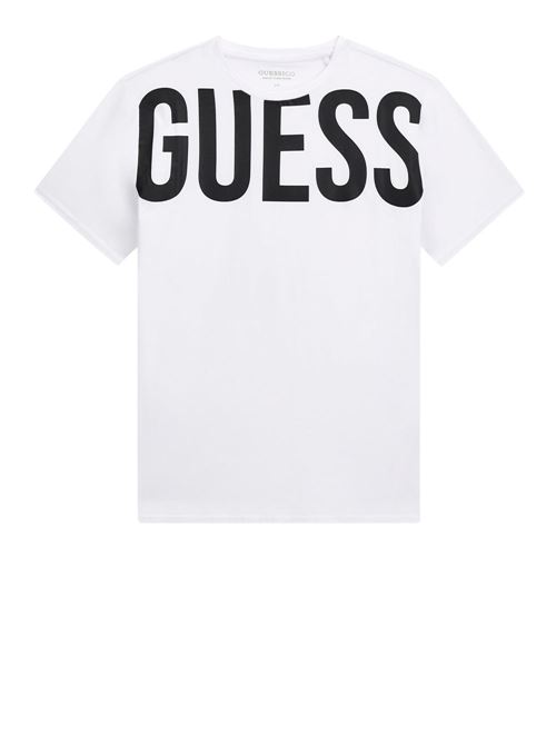  GUESS | F6GI01J1314/G011