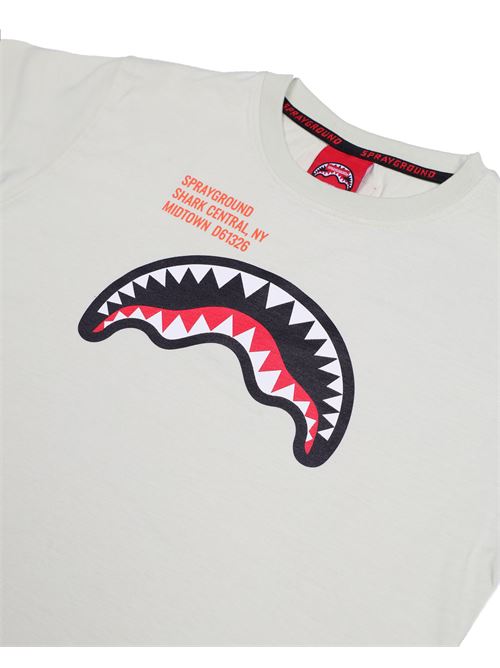 SHARK BASIC REG T-SHIRT SAGE SPRAYGROUND | SPY1384SAGE/SAGE