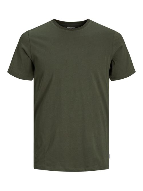 Olive Night