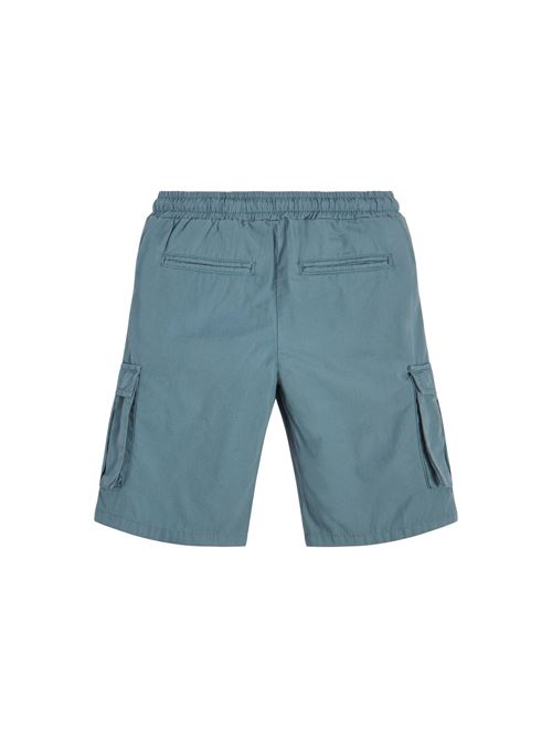 CARGO SHORTS_CORE GUESS | L2RD01D3XN0/G7DV